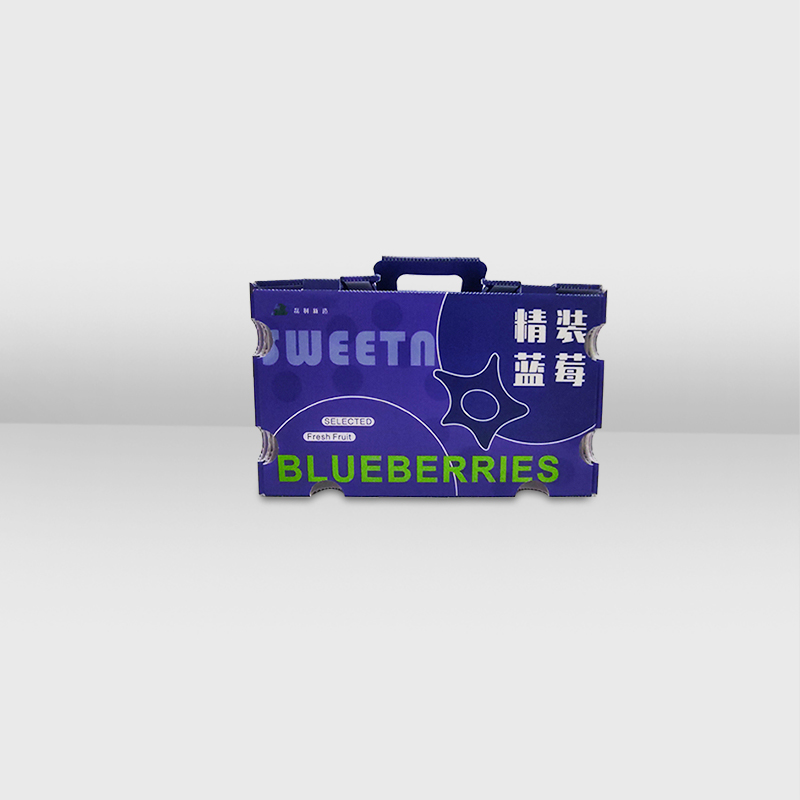 Fruit Mailing Box with Handle