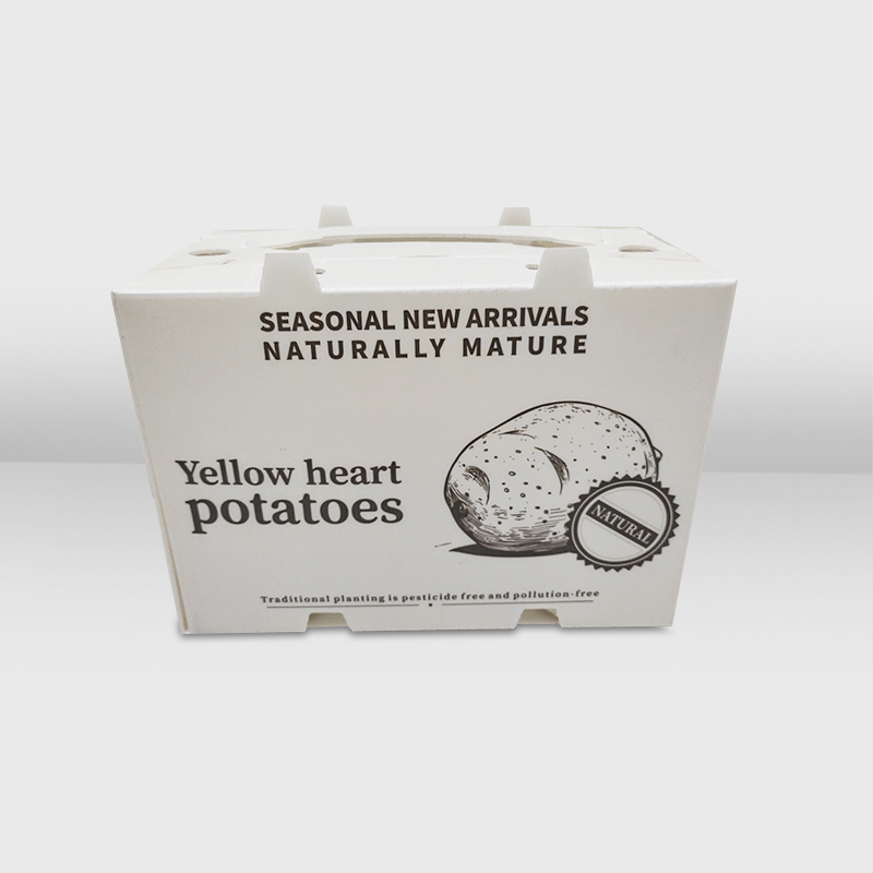 Banana Box with Handle