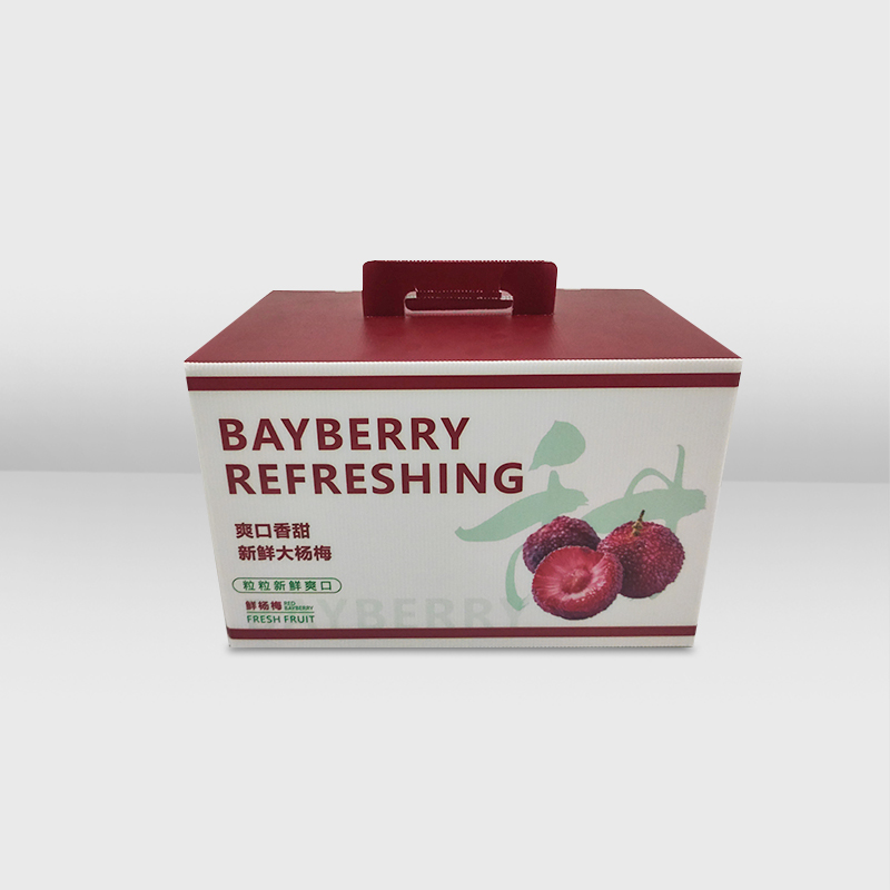 Fruit Gift Box with Handle