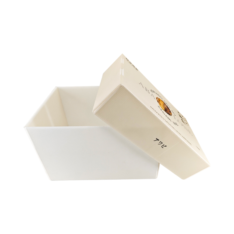 Lid and Base Box for Seafood