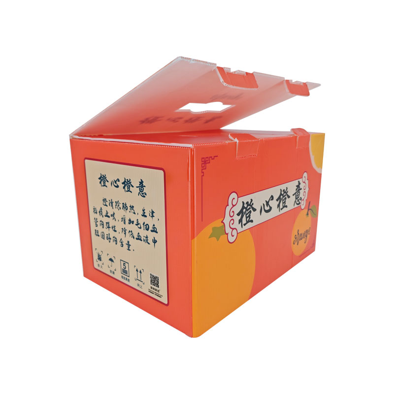 Gift Box with Handle